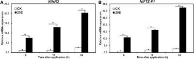 Role of nuclear receptors NlHR3 and NlFTZ-F1 in regulating molting and reproduction in Nilaparvata lugens (stål)